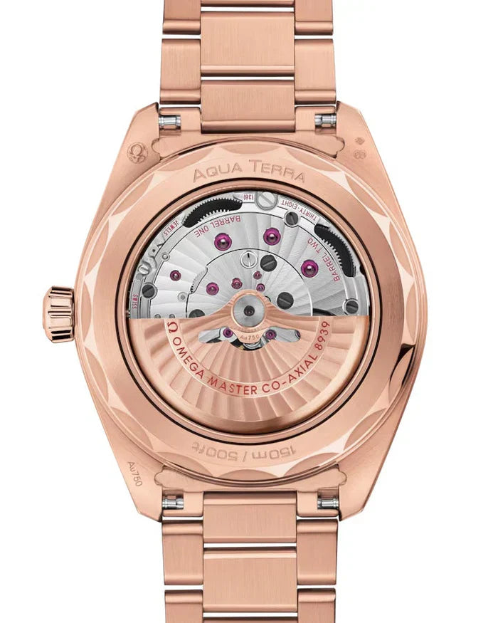 Seamaster Aqua Terra Worldtimer 150M Dubai